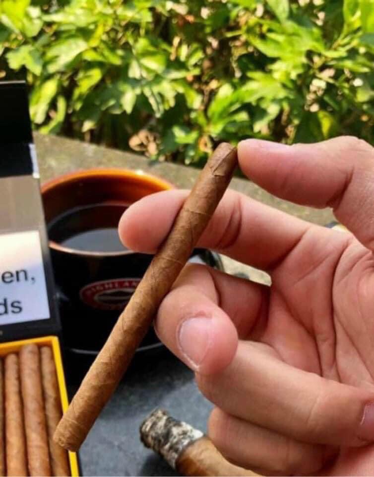cohiba mini 50