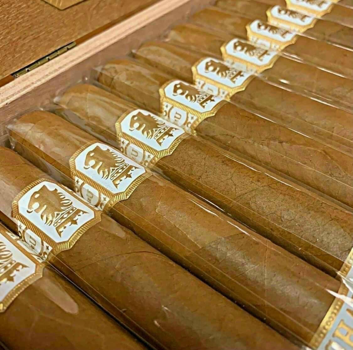 z5004171938605_224d37bf584ba8bf1241cb9a0d54f748