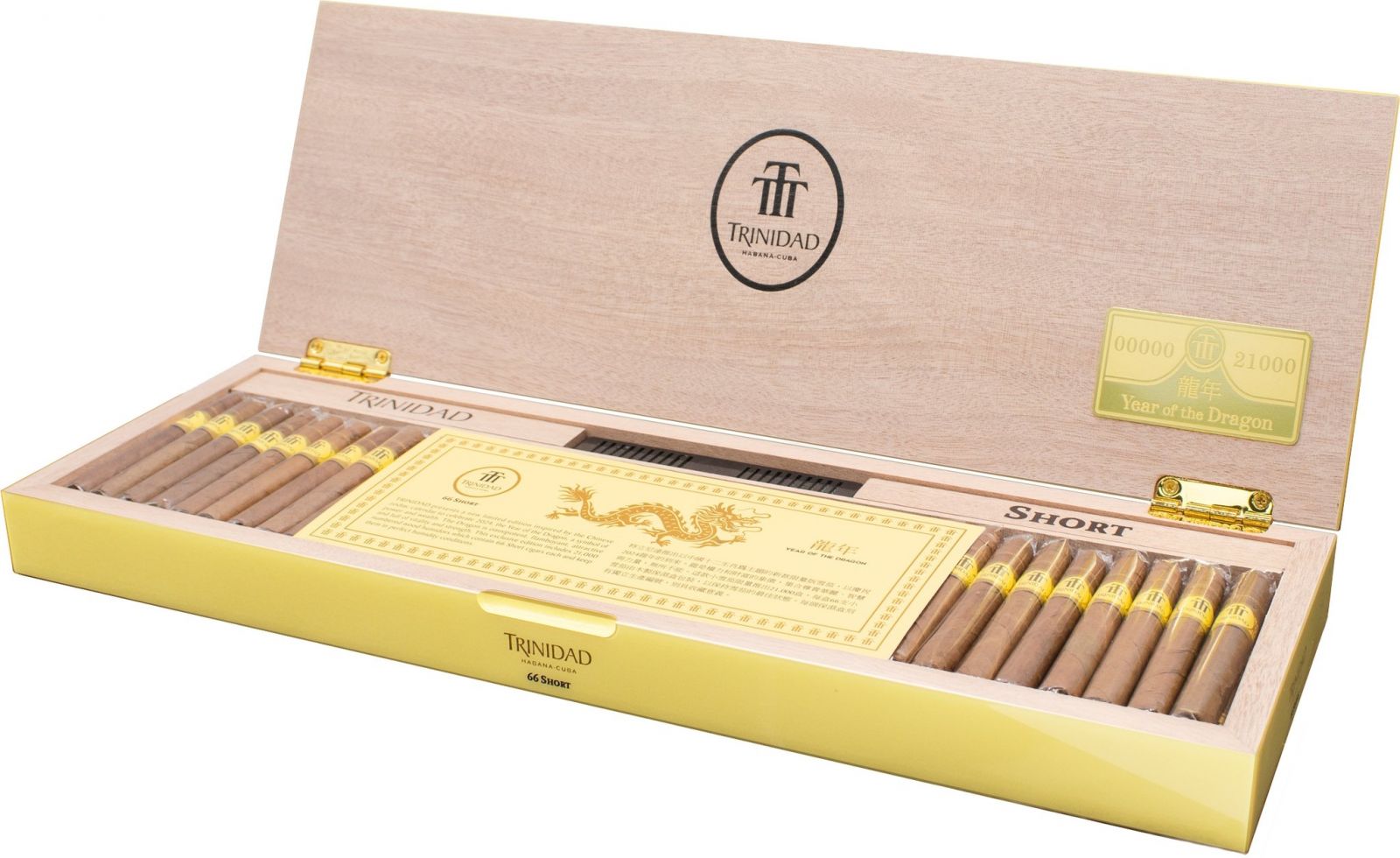 xi-ga-trinidad-short-66-year-of-dragon-2024-phien-ban-rong-ho-chi-minh